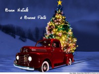 /album/parisi-baseball/albero-di-natale-040-jpg/